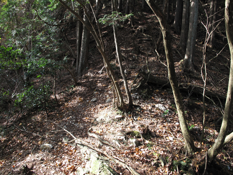 20131124hike (254)